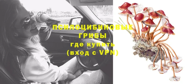 PSILOCYBIN Алексин