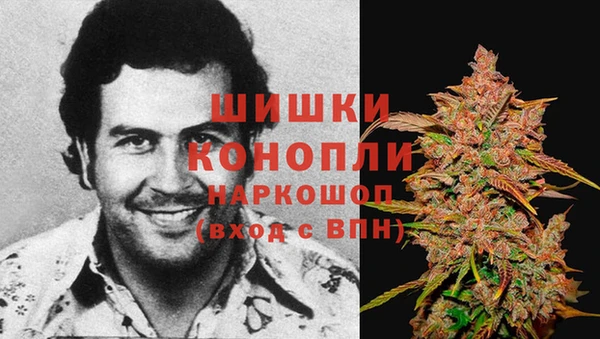 тгк Краснослободск