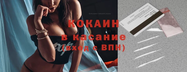 гашик Алексеевка