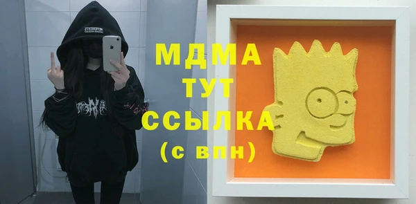 гашик Алексеевка