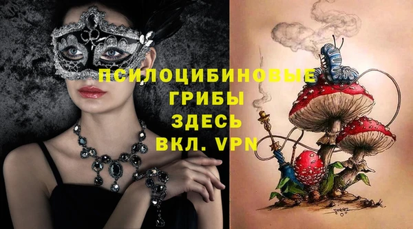 Альфа ПВП Алзамай